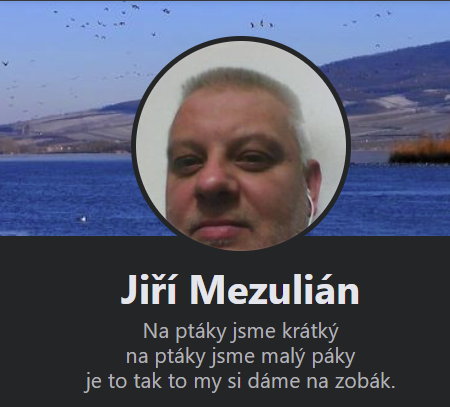 Jiří Mezulián 